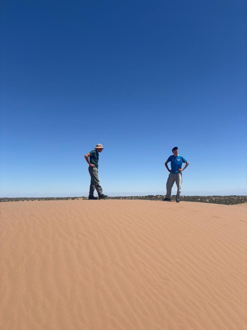 Altos Limpios, dunas de Lavalle